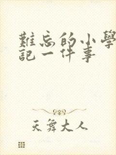 难忘的小学生活记一件事