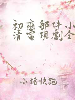 初恋那件小事高清电视剧全集免费观看