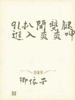 91扒开双腿猛进入爽爽呻吟软件