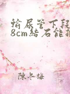 输尿管下段0.8cm结石能排出吗