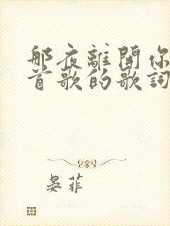 那夜离开你是哪首歌的歌词