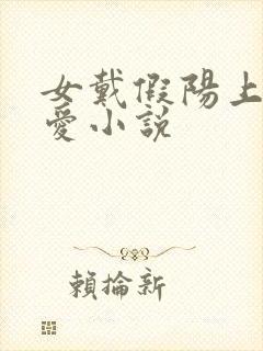 女戴假阳上男四爱小说