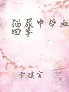 猫尿中带血怎么回事