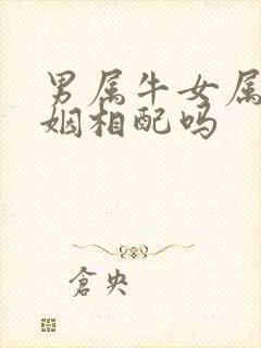 男属牛女属狗婚姻相配吗