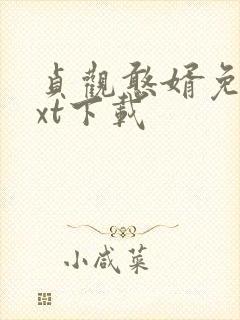 贞观憨婿免费txt下载