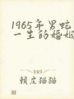 1965年男蛇一生的婚姻及命运
