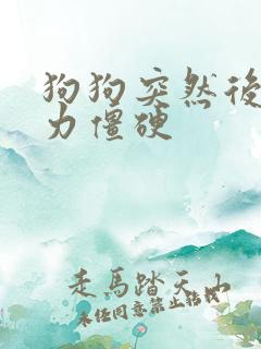 狗狗突然后腿无力僵硬