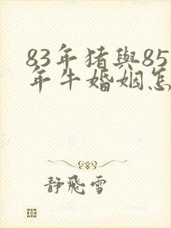 83年猪与85年牛婚姻怎么样
