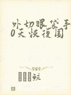 外切眼袋手术10天恢复图