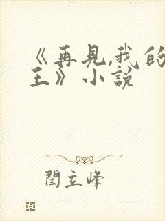 《再见,我的国王》小说