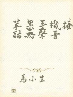 苹果手机接听电话无声音