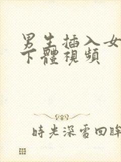 男生插入女生的下体视频