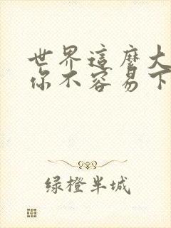 世界这么大遇见你不容易下一句