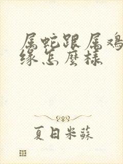 属蛇跟属鸡的姻缘怎么样