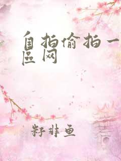 自拍偷拍一区二区网