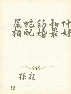 属蛇的和什么属相配婚最好