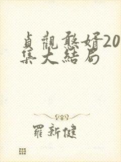 贞观憨婿200集大结局