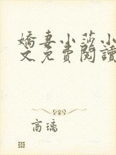 娇妻小莎小说全文免费阅读