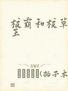 校霸和校草双男主