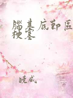 脑基底节区腔隙梗塞