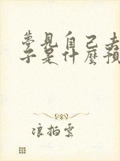 梦见自己去生孩子是什么预兆