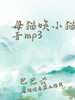 母猫唤小猫的声音mp3