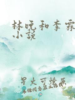 林晚和李霖云的小说