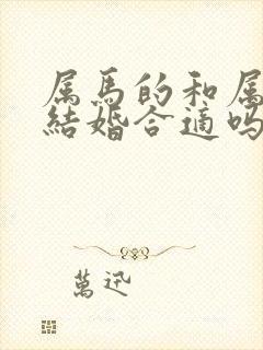 属马的和属狗的结婚合适吗