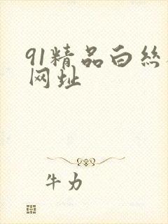 91精品白丝袜网址