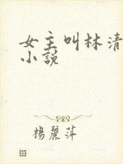 女主叫林清言的小说