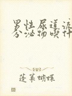 男性尿道流白色分泌物吃什么