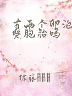 有两个卵泡会怀双胞胎吗