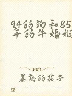 94的狗和85年的牛婚姻怎么样