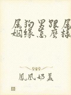 属狗男跟属兔女姻缘怎么样