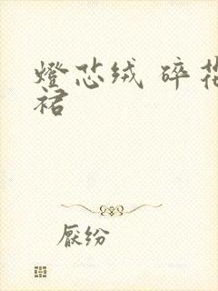 灯芯绒 碎花 裙