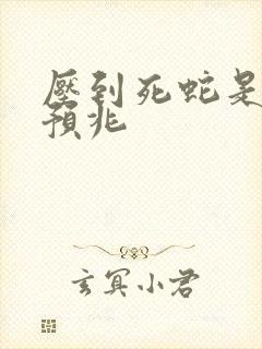 压到死蛇是什么预兆