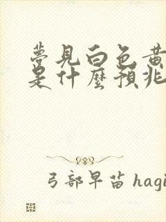 梦见白色黄鼠狼是什么预兆周公解梦