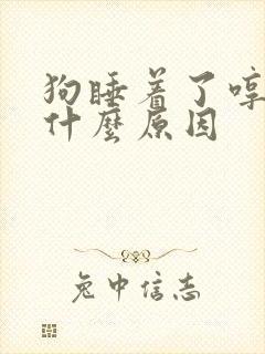 狗睡着了哼唧是什么原因