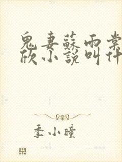 鬼妻苏雨棠白文欣小说叫什么名字啊