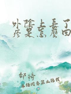 外阴上长了小丘疹是怎么回事