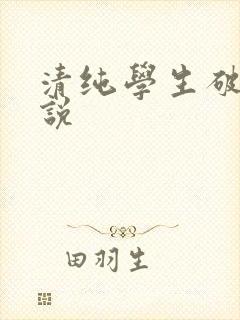 清纯学生破处小说