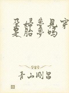 孕妇梦见穿孝衣是胎梦吗