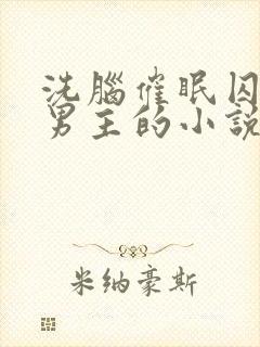 洗脑催眠囚禁双男主的小说