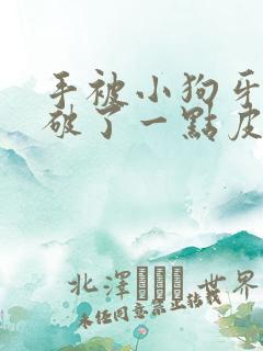 手被小狗牙齿划破了一点皮流血怎么办