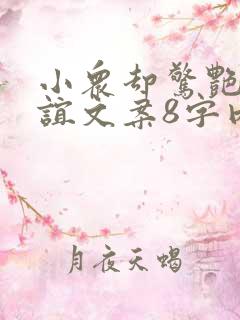 小众却惊艳的友谊文案8字内