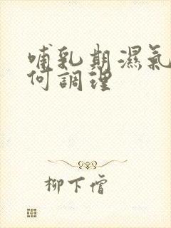 哺乳期湿气重如何调理