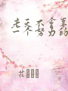 老天不会辜负每一个努力的人的句子