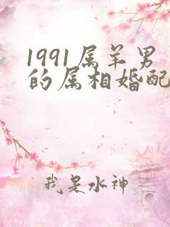 1991属羊男的属相婚配表