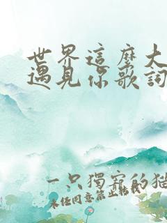 世界这么大还是遇见你歌词完整版