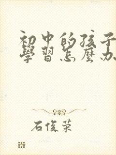 初中的孩子不爱学习怎么办